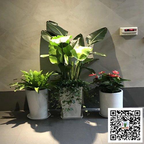 南京玄武區(qū)案例