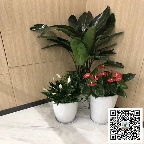 南京江寧區(qū)案例